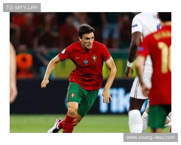 帕利尼亚：从边缘到主力的地位跃升解析